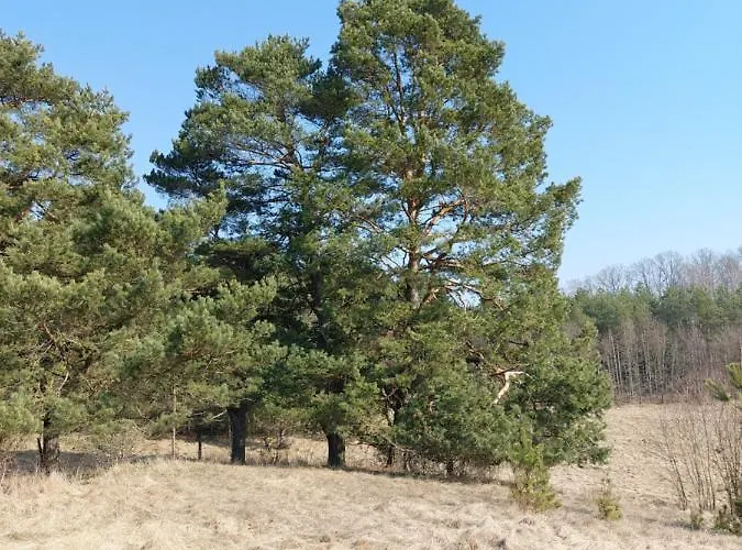 Avec Vue Unique Lodge